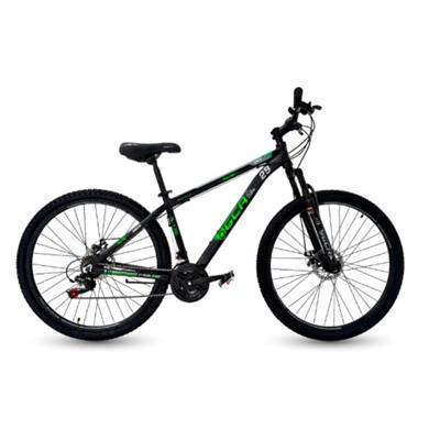 BICICLETA R29 GCA ZEUS 21V 